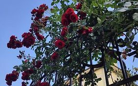 Ca' della Sfinge Colibrì a Civiasco